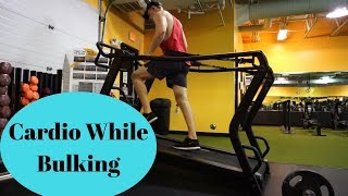 Should You Do Cardio While Bulking | Ep. 2