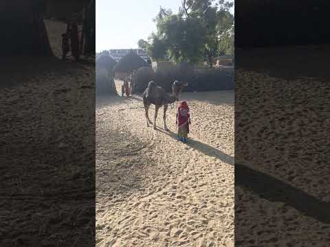 امرأة عجوز تأخذ شفتيها لتسرق