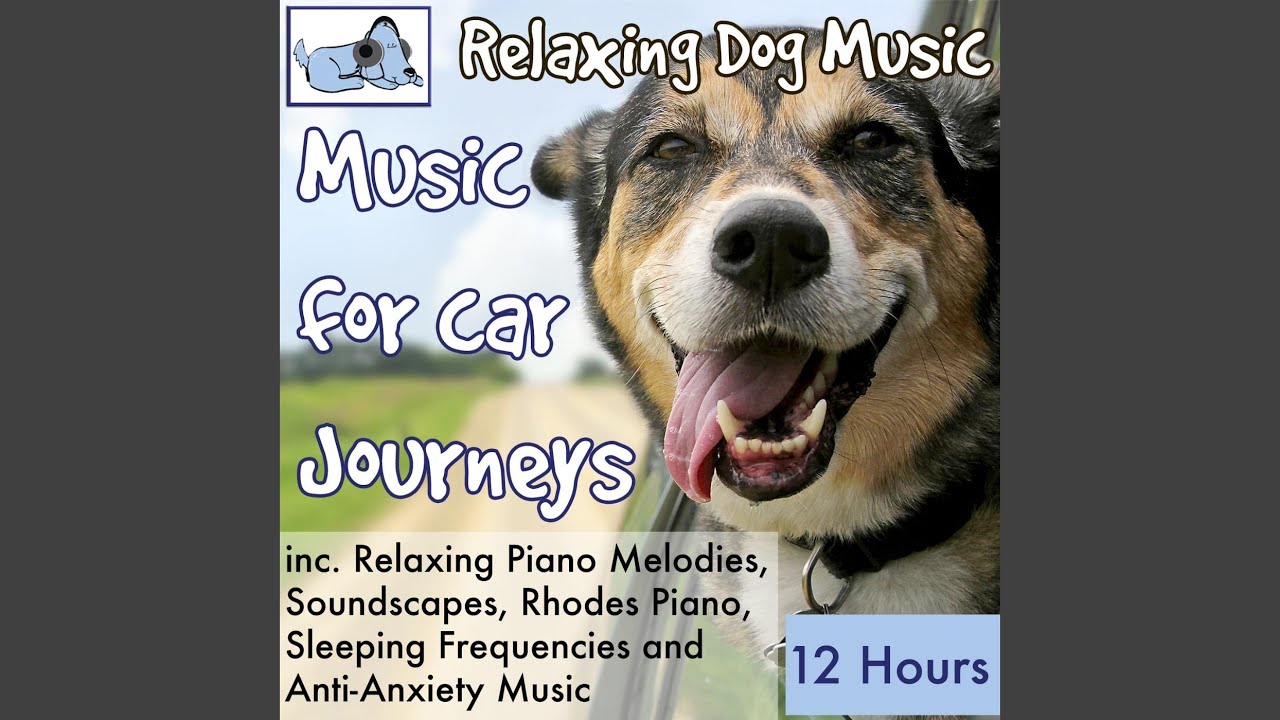 Resting Frequency Dog Music To Stop Whining YouTube