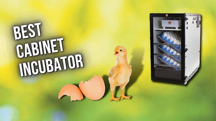Best Cabinet Incubator  5 Best Egg Incubator 2022