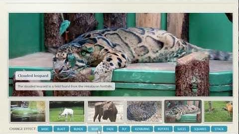 jQuery Banner Rotator - Beautiful!