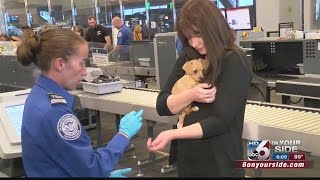 TSA offers travel tips for less stress travel with pets