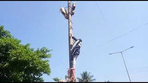 ಸರ ಸರನೆ ವಿದ್ಯುತ್ ಕಂಬ ಏರಿದರು ಸರಳಾ ಹೇರೇಕರ್ !!: ವಿಡಿಯೋ