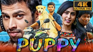 Puppy (4K) - South Superhit Comedy Drama Film | Varun, Samyuktha Hegde, Yogi Babu