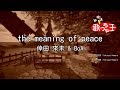 【カラオケ】the meaning of peace / 倖田來未 &amp; BoA