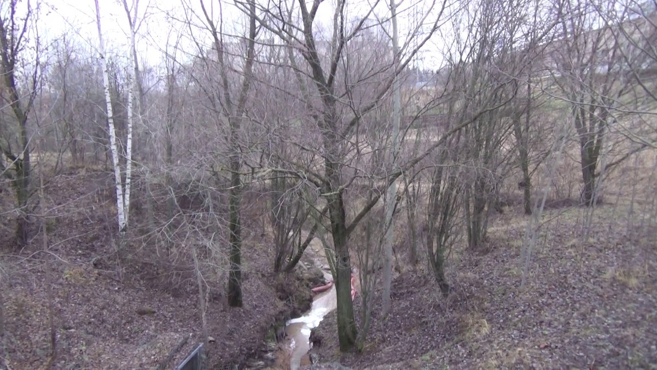 Река Раменка. 16:00, 08.11. 2019 - YouTube