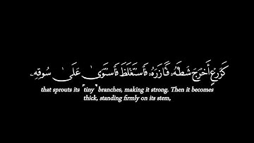 محمد رسول الله ✒️ شاشة سوداء ✒️ كروما شاشة سوداء قرآن كريم ✒️ كرومات قران #كروما_قرآن 