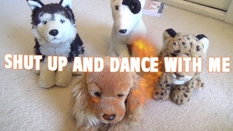 Shut Up and Dance WMV for The Determined Webkinz