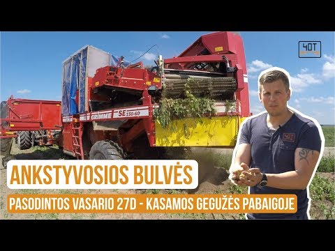 Ankstyvosios bulvės - GRIMME bulvių kasimo kombainai / 40T sunkioji technika