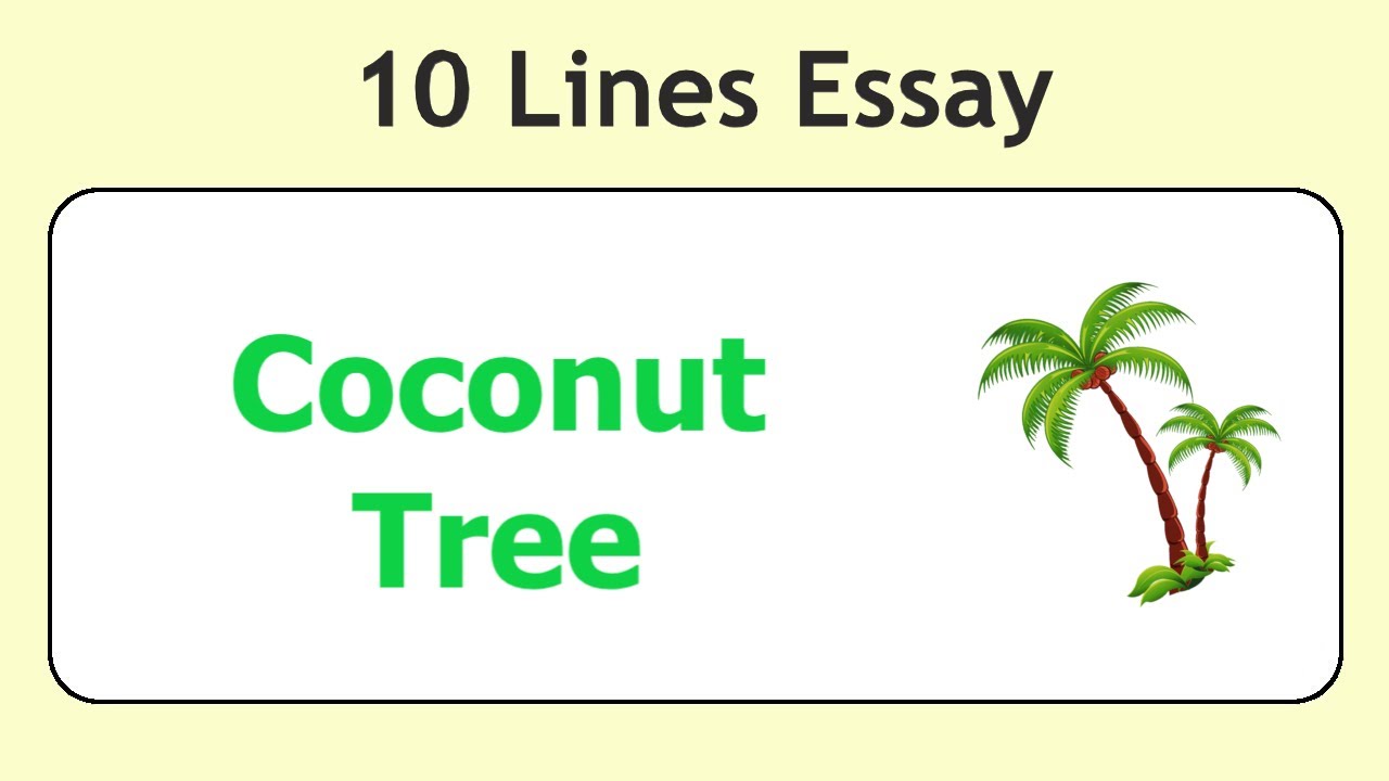 essay on coconut tree in english