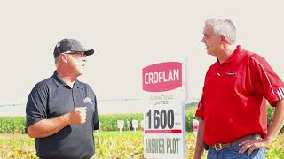 #FromTheField Croplan Hybrid 1600 - Al Williams and Brent Wink