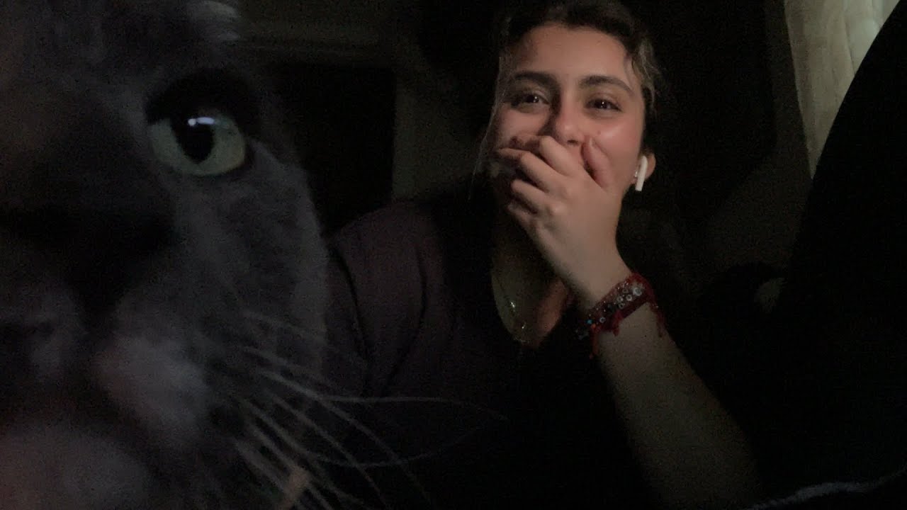 lofi asmr: inaudible whispering