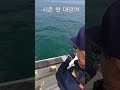 대광어 낚시  #fishing