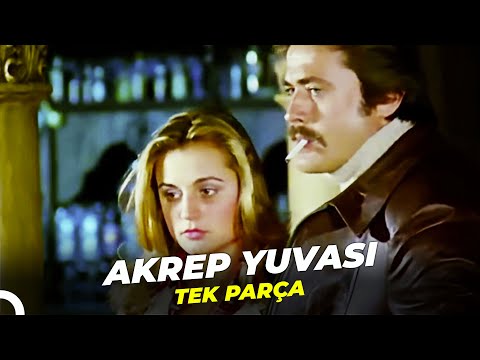 Akrep Yuvası | Cüneyt Arkın Banu Alkan Eski Türk Filmi Full İzle