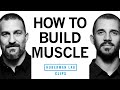 How to Build Muscle | Dr. Andy Galpin & Dr. Andrew Huberman