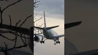 Turkish Airlines Airbus A350-900 Landing At Heathrow Airport