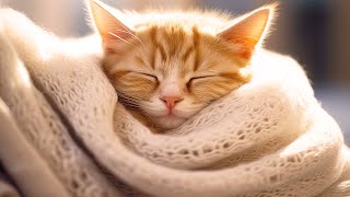 Music for Nervous Cats  Soothing Sleep Music, Deep Relaxation Music For Your Pet