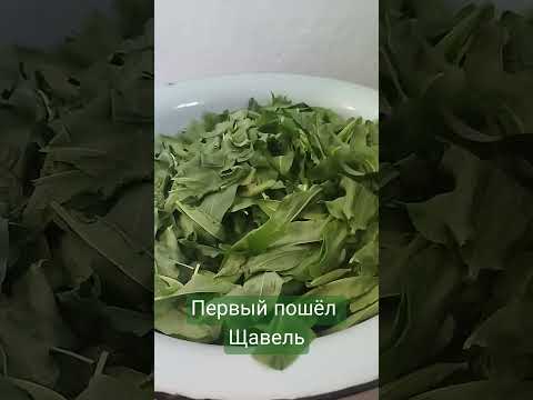 Первый пошёл!