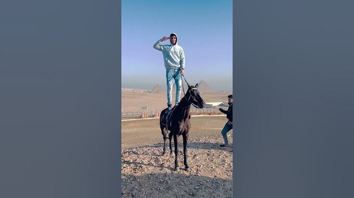 لما الغدر يجي من صاحبك😂 #خيل #السمان #اكسبلور #الخيل #arabichorse