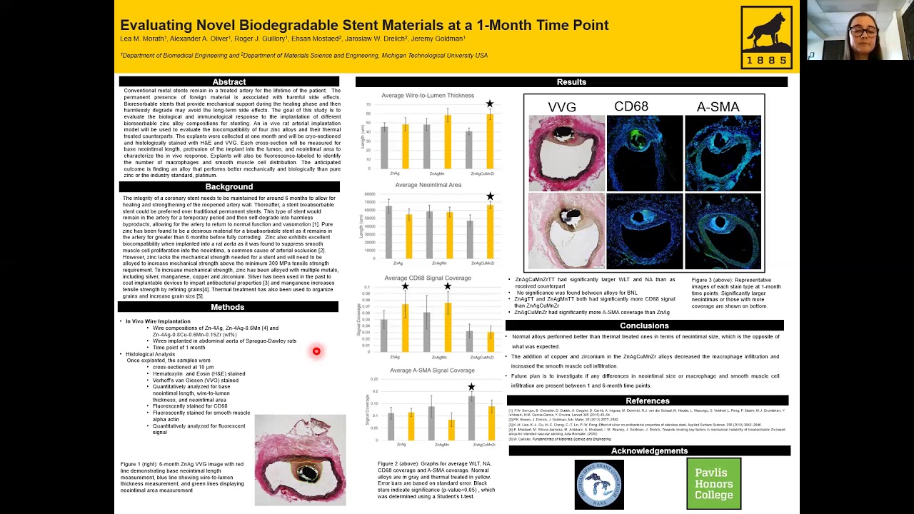 Preview image for Evaluating Novel Biodegradable Stent Materials at a 1-Month Time Point video