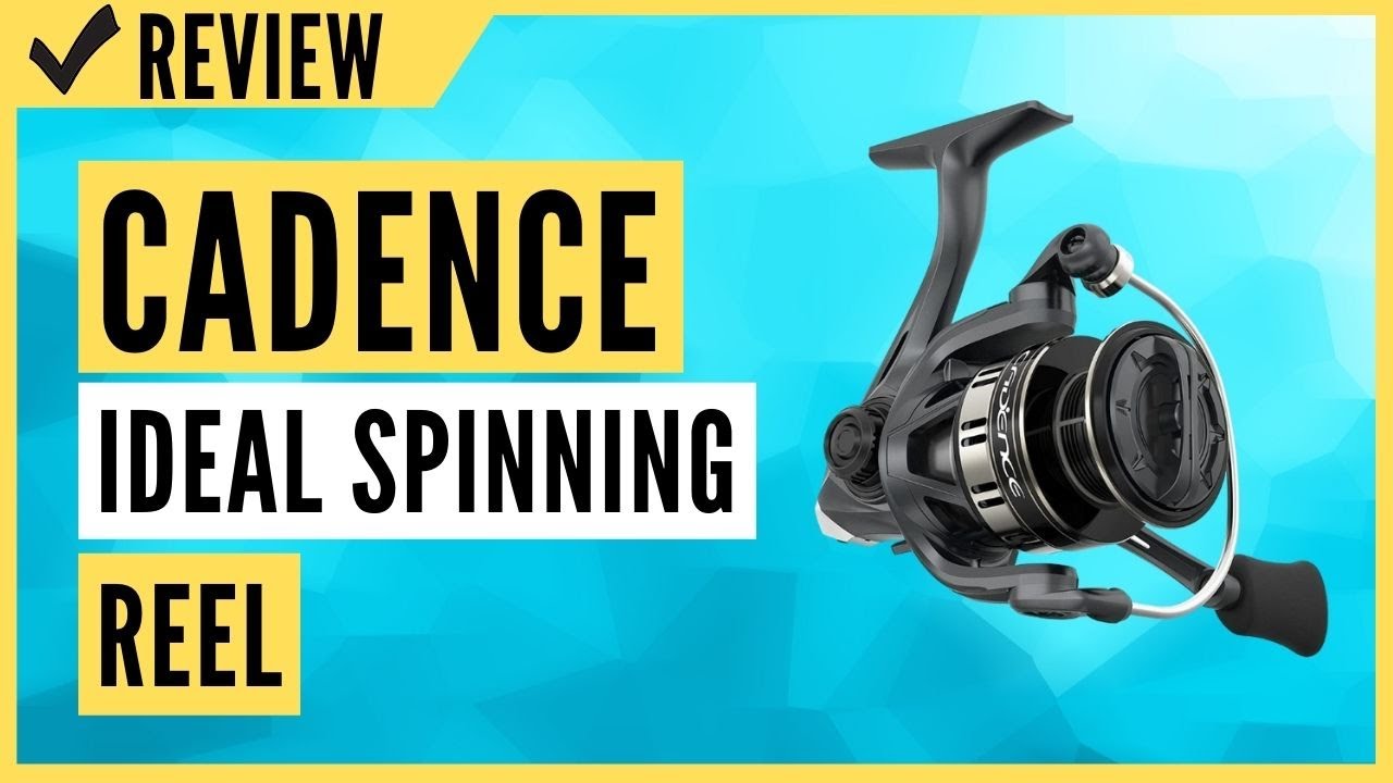 Cadence Ideal Spinning Reel Review 