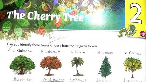THE CHERRY TREE||PART 1||CLASS 6||CHAPTER 2||NEW MULBERRY ENGLISH BOOK