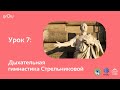 Урок 7:  Дыхательная гимнастика Стрельниковой