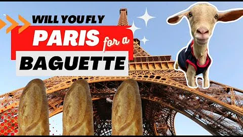 Would you fly to Paris for a Baguette or homemade Baguette ?