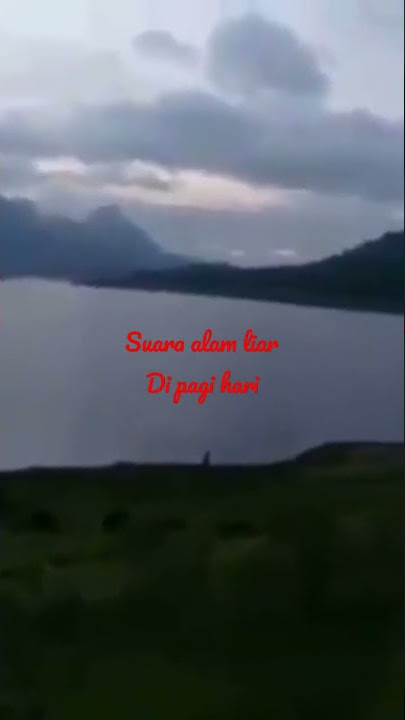 suara alarm di pagi hari