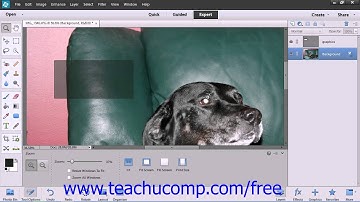 Photoshop Elements 12 Tutorial Bitmap Images Adobe Training Lesson 4.1