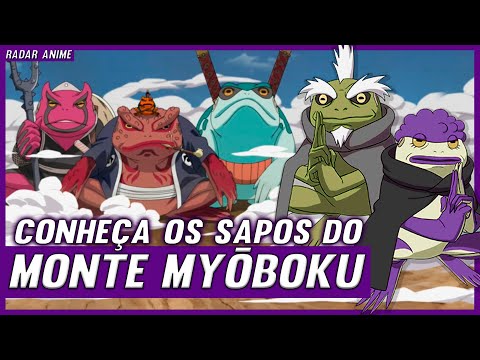 Vídeo: Onde nasce o sapo sábio?