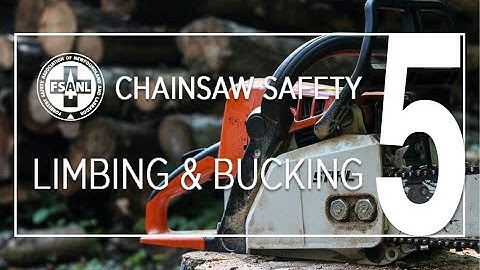 Chainsaw Safety | Limbing & Bucking