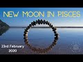 NEW MOON IN PISCES | RESOLVING THE PAST AND EMBRACING THE NEW ♓🌙