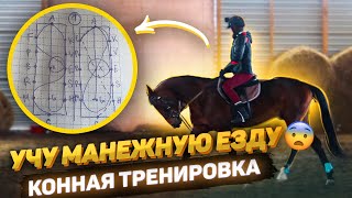 картинка: Учу манежную езду / КОННАЯ ТРЕНИРОВКА