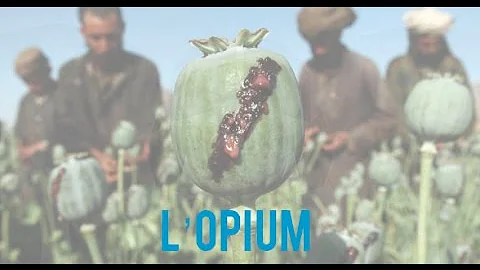 Quel effet l'opium ?