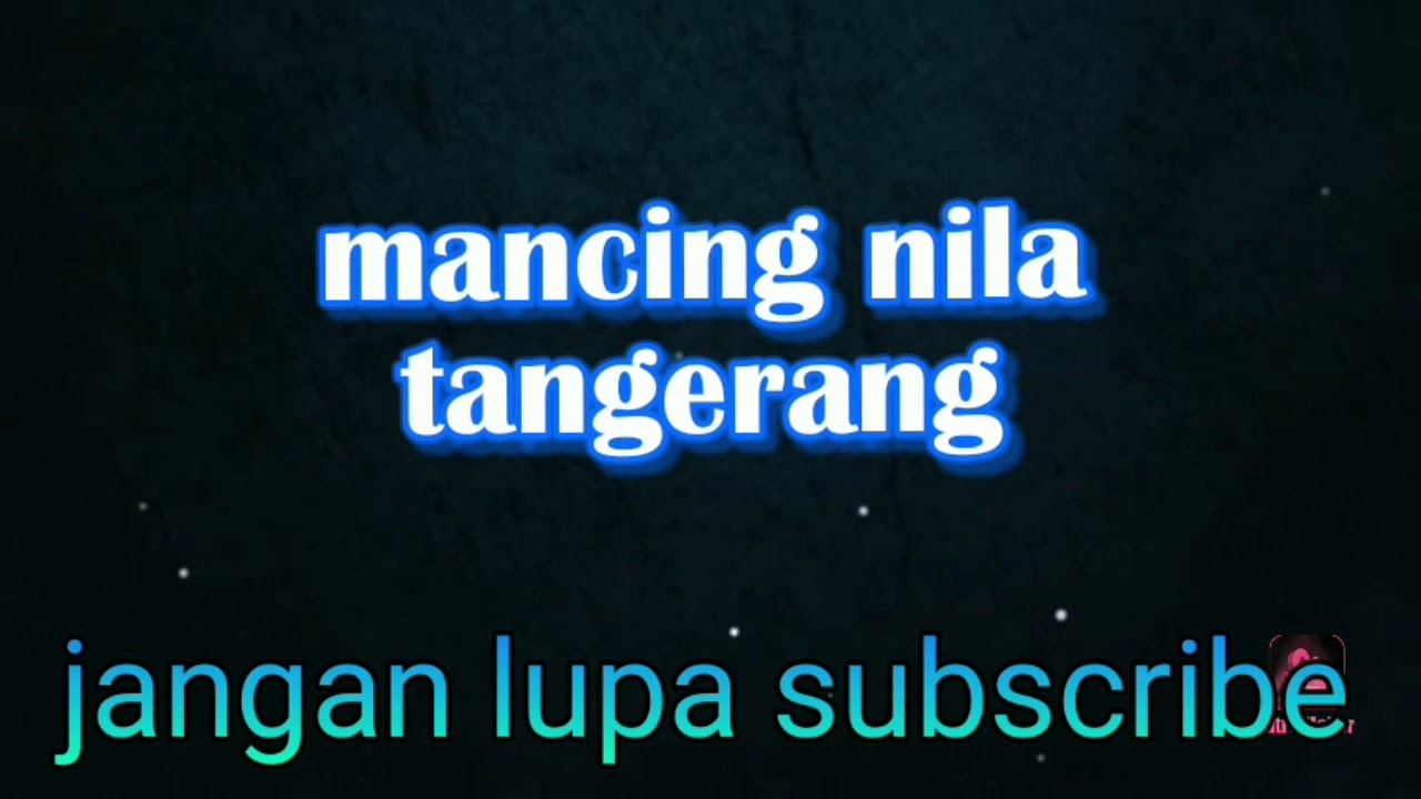mancing belanak umpan lumut