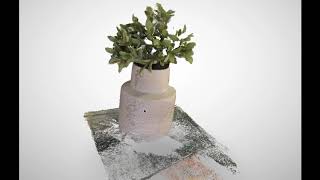 3D Scan of Plant screenshot 1