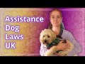 Assistance/Service Dog Laws UK Explained (+ Coco Update)