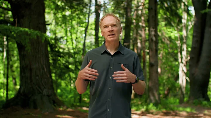 Maine Community Foundation: Building a Better Forest Economy