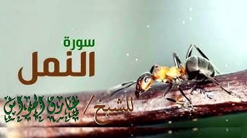 ما تيسر من سورة النمل لفضيلة الشيخ طارق الحواس