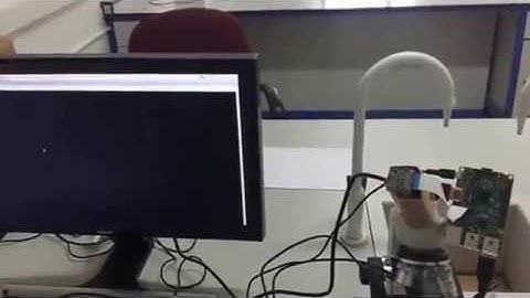 Raspberry Pi Microscope Screen