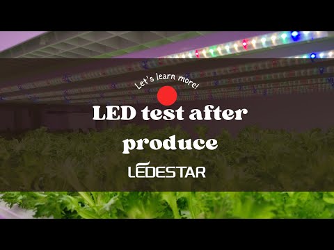 What science testing should done after the producing of led?