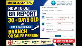 How to Get BR Report for 30+ Days Old Invoices, Branch & Sales Person | Business Central