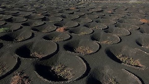 12 Most Mysterious Things That Science Still Cannot Explain