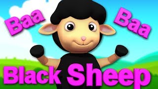 baa baa black sheep baby bao panda cartoons and rhymes