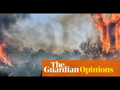 Net Zero: відволікання від відмови від викопного палива