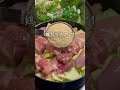 キャベツと鶏肉の無限極旨スープ #簡単レシピ #やせる #痩せるレシピ