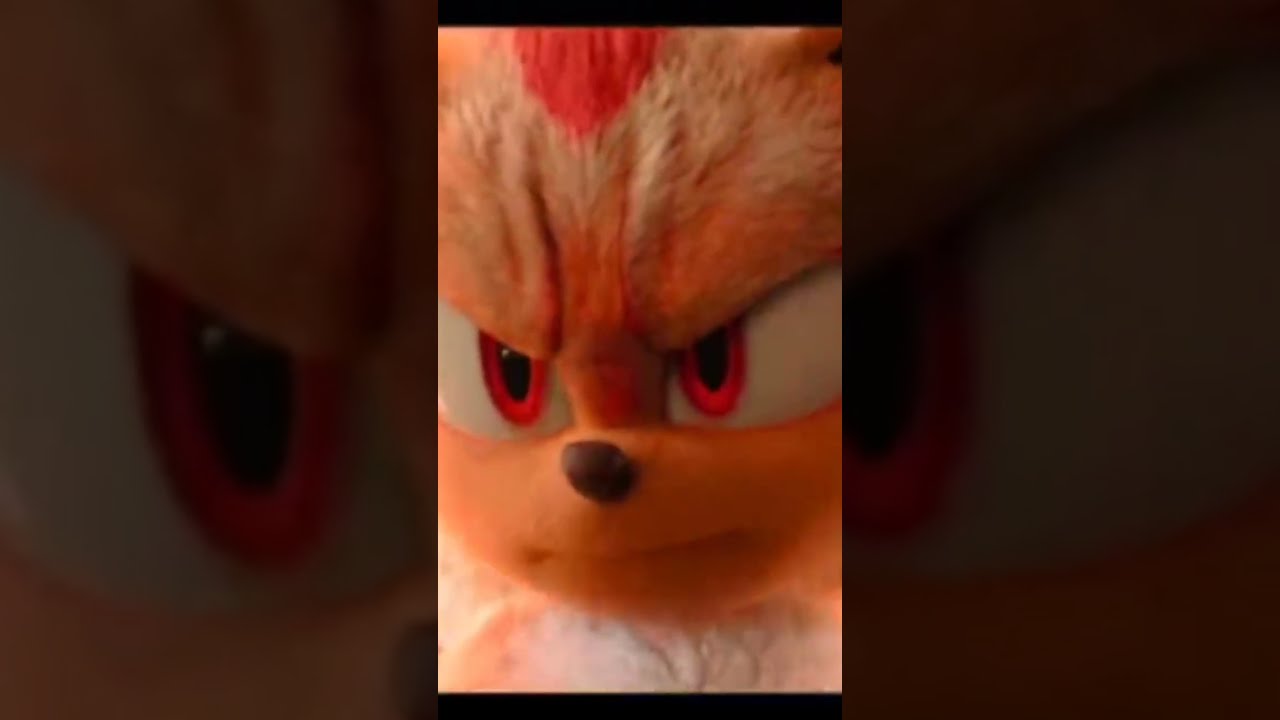 Who Is The Best Sonic V S Shadow Hedgehog Shorts
