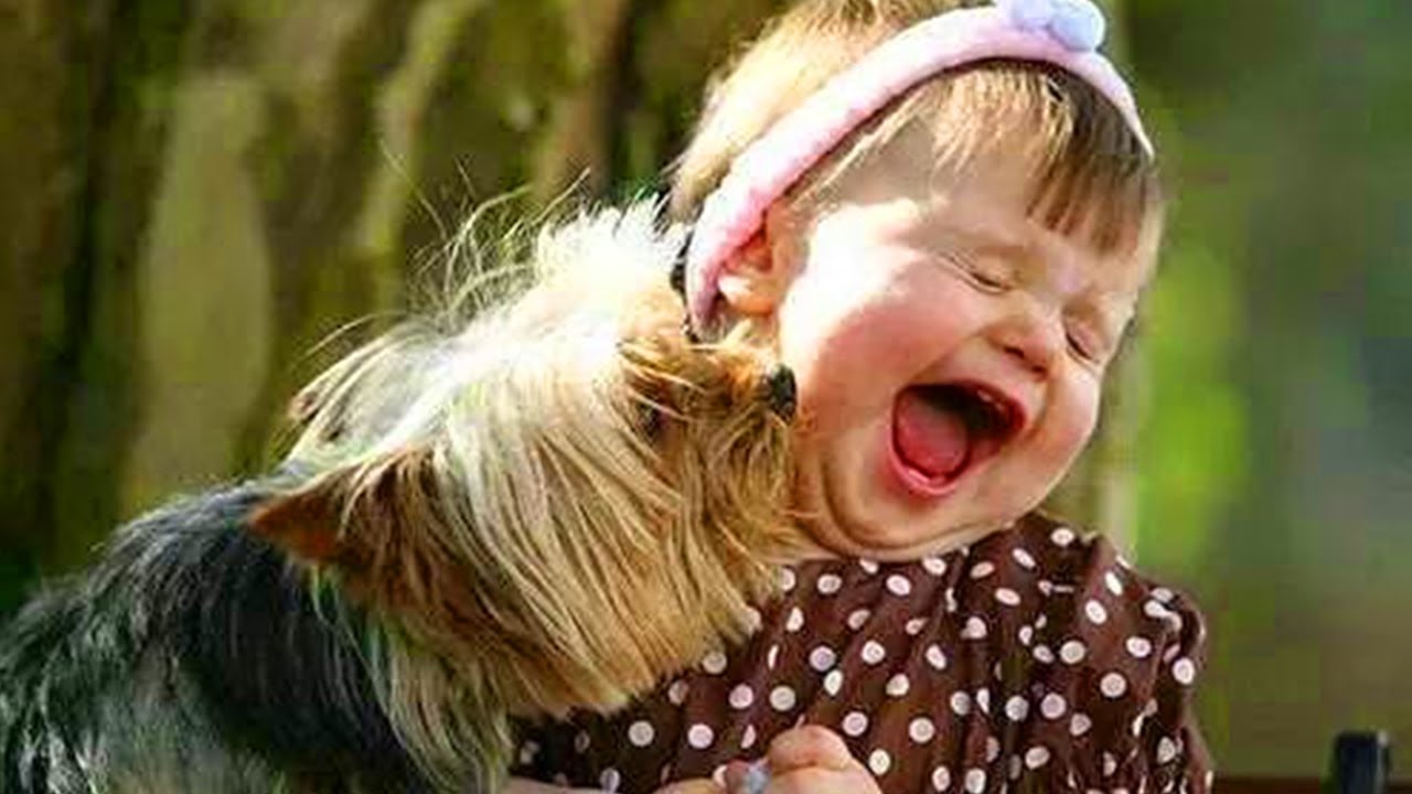 День давайте смеяться картинки. Для детей. Животные. Смешные дети. Забавные дети и животные. Животные и дети смеются.
