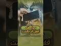 پروژه ه ک فیزیکی قفل اثر انگشت آموزش الکترونیک آموزش تعمیرات I Hacked A Fingerprint Lock With پروژه ه ک فیزیکی قفل اثر انگشت آموزش الکترونیک آموزش تعمیرات I Hacked A Fingerprint Lock With